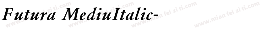 Futura MediuItalic字体转换